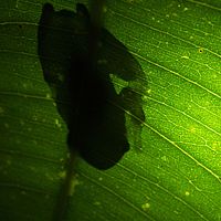 2015-04-09 21-17-02