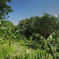 2015-04-16 10-59-02