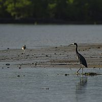 2015-04-17 06-35-03