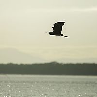 2015-04-17 06-35-09