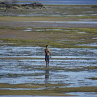 2015-04-17 07-34-45