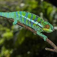 2015-04-17 11-00-11
