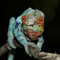 2015-04-18 10-40-32