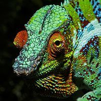 2015-04-17 11-19-11