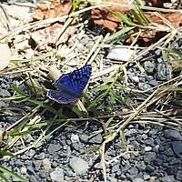2015-04-17 12-00-43