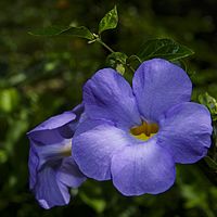 2015-04-17 13-14-04
