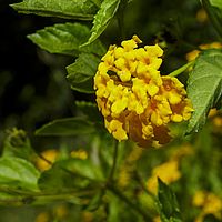 2015-04-17 13-16-42