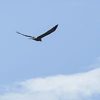 2015-04-21 10-19-59