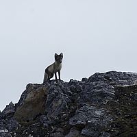 2014-07-01 10-53-32