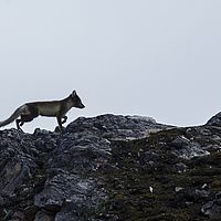 2014-07-01 10-53-33