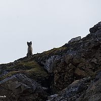 2014-07-01 10-55-03