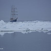 2014-07-06 19-07-38