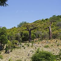 2015-04-24 12-37-31