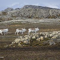 2014-07-01 11-05-30