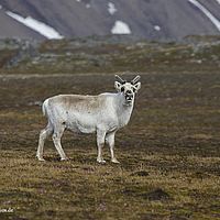2014-07-01 11-06-41