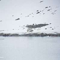 2014-07-03 17-03-05