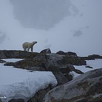 2014-07-04 14-20-21