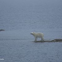 2014-07-04 14-32-32