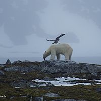 2014-07-04 14-48-54