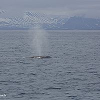 2014-06-30 22-25-38
