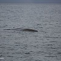 2014-06-30 22-30-53-6