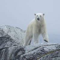 2014-07-04 14-55-22