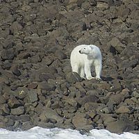 2014-07-07 19-49-16