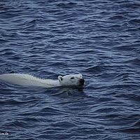 2014-07-07 20-07-52