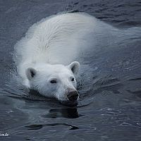 2014-07-07 20-10-31