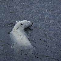 2014-07-07 20-10-45