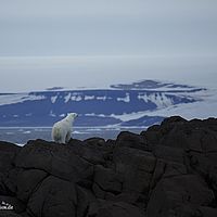 2014-07-07 20-35-01
