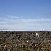 2014-07-08 11-26-46