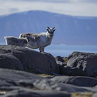 2014-07-08 11-41-13