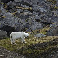 2014-07-08 15-56-42