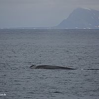 2014-06-30 23-23-22