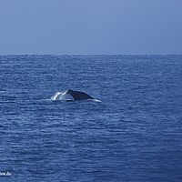 2014-07-01 14-09-21-6