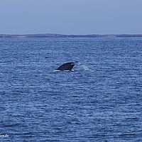 2014-07-01 14-16-19-8