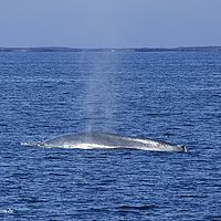 2014-07-01 14-22-18-6