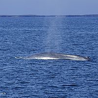 2014-07-01 14-22-18-7
