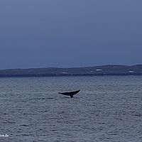 2014-07-01 14-51-43-10