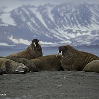2014-07-01 17-38-56-4
