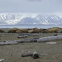 2014-07-01 17-48-58