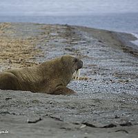 2014-07-01 17-56-14