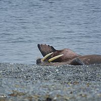 2014-07-01 18-01-30