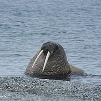2014-07-01 18-05-08