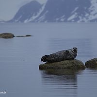 2014-07-03 10-55-41