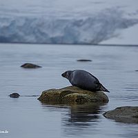 2014-07-03 11-00-01