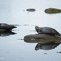 2014-07-03 12-21-45