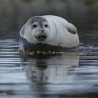 2014-07-03 14-12-07