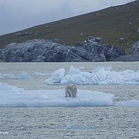 2014-07-11 00-13-51